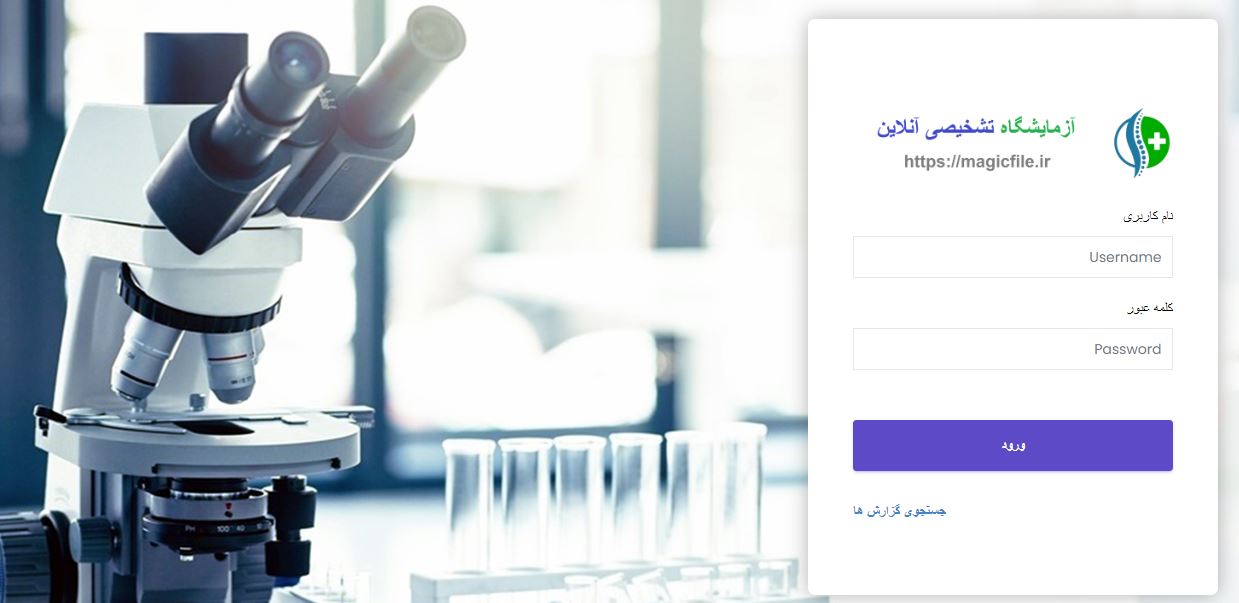 Online diagnostic laboratory management system script using PHP11