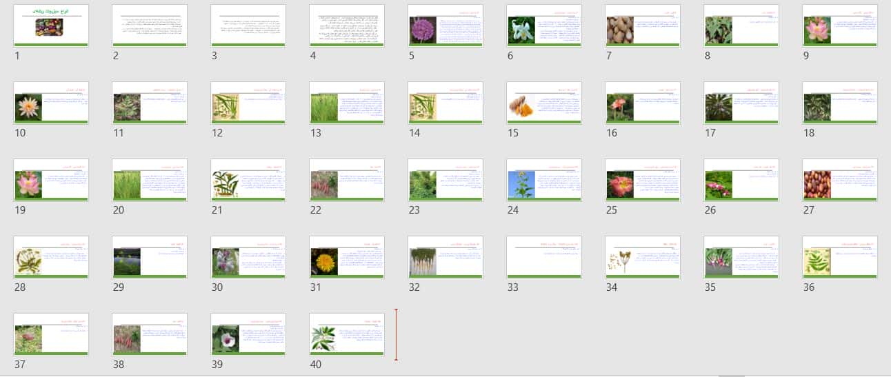 تحقیق آماده در مورد انواع لیست سبزیجات ریشه‌ای 12312