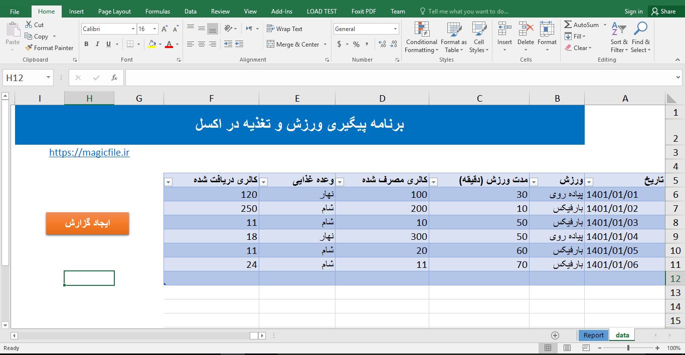 برنامه ساخت گزارش تغذیه و فعالیت ورزشی در اکسل با VBA 6343