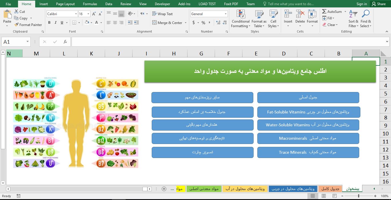 جدول اکسل اطلاعات جامع ریزمغذی‌ها ، ویتامین‌ها و مواد معدنی ۱۲۴